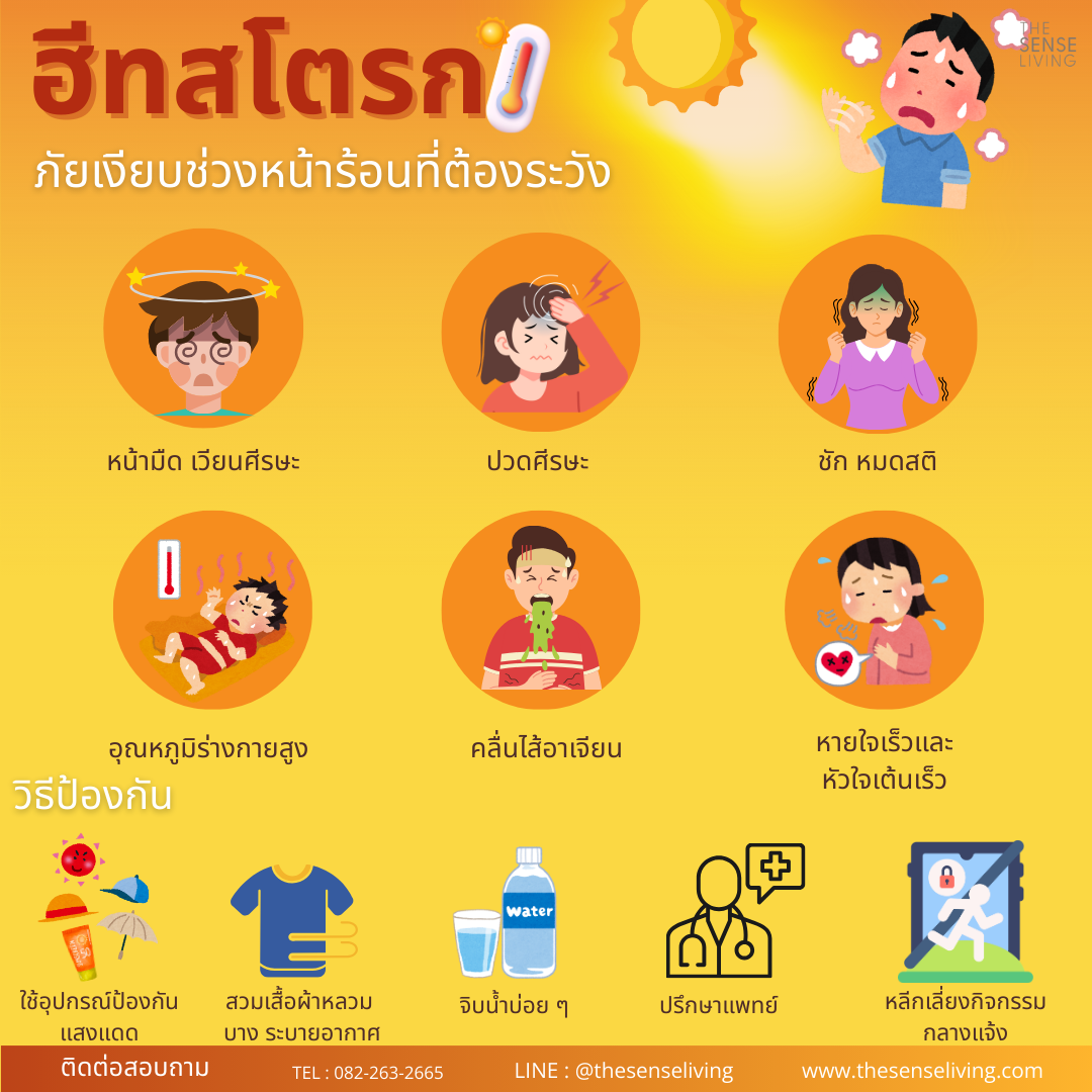 Sense Living TSL_กับฮีทสโตรก (Heat Stroke) ภัยเงียบช่วงหน้าร้อนที่ต้องระวัง – The ...